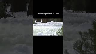 freezing river #youtubeshorts