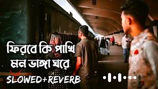 Jaye Pakhi Urey - যায় পাখি উড়ে - Slowed & Reverb💔 | Romeo | Bangla Sad Song Lofi🎶