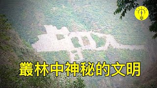 科學家在亞馬遜叢林的一座山頂上的發現，一個400多年未受破壞的文明【科技啟示錄】