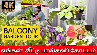 Balcony garden tour / எங்க வீட்டு பால்கனி தோட்டம் பார்க்கலாம் வாங்க /  NURSERY