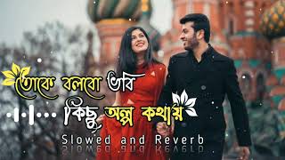 Aamar Mon Tor Paray | তোকে বলবো ভবি কিছু অল্প কথায় | Slowed + Reverb | MD Irfan | #slowed