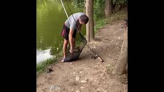 Донная ловля карпа. Эпизод 10 часть 3/6. Fishing a carp on a bottom rod. Episode 10 part 3/6