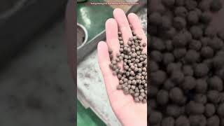 Floating Fish Feed Machine | Machine for Making Floating Fish Feed | Fish Feed Processing