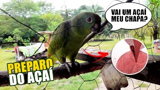 AÇAÍ DIRETO DA SEDE DE GRAVAÇÃO