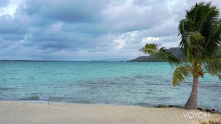 Drone volant vers la mer - île Motu Tane - Bora-Bora, Polynésie française 🇵🇫 - Voyage 4K