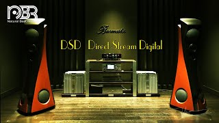 DSD - Direct Stream Digital - Greatest Audiophile Music Selection - NbR Music