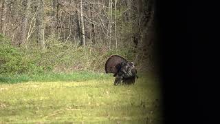 2024 West Virginia Youth Turkey Hunt (Pt.1)