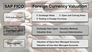 SAP Foreign Currency Valuation