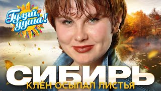 Сибирь - Клён осыпал листья - Душевные песни@gulyaydusha