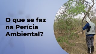 VOCÊ SABE O QUE SE FAZ NA PERÍCIA AMBIENTAL?