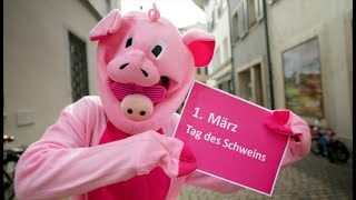 1. März Tag des Schweins