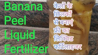 Banana Peels Liquid Fertilizer केलों के छिलकों से बनाएं फ्री का लिक्विड फर्टिलाइजर