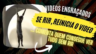 Compilado de Videos Engraçados - SE RIR COMEÇA DE NOVO O VIDEO