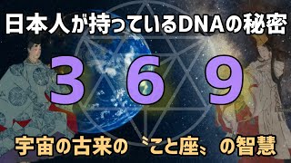 【神様から聞いた古事記 5 】黄泉の国とはどこにある？強い絆を持ったソウルメイトとの別れ/伊邪那岐命、伊邪那美命 ⑤/黄泉の国に行く編