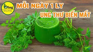 Tác dụng trị bệnh của rau mùi - tưởng rau cỏ nào ngờ thuốc quý