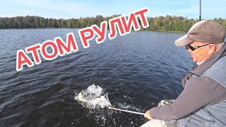 Ловля щуки в сентябре || АТОМ рулит 🎣