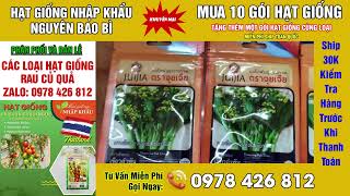 hạt giống cải ngồng làn hoa vàng nhập khẩu thái lan nguyên bao bì ai cần liên hệ 0978426812