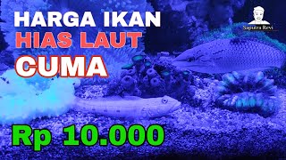 Aquarium laut , Ikan hias air laut di dalam aquarium #hobirevi