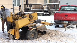 Stump Grinding West Metro Minnesota's Greatest