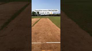 Much needed transition | Cricket Transition | #cricket #cricketshorts #shorts #cricketvideos #reels