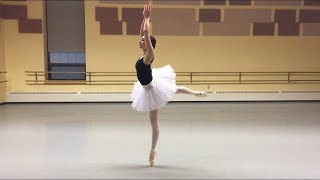 Rehearsal For Dying Swan