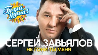 Сергей Завьялов - Не гони ты меня - Новые песни