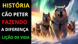 Reflexão  de Vida Era uma vez, Peter o cão gostava ajudar  todo mundo