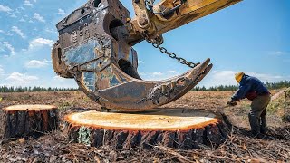 Extreme Dangerous Fastest Big Chainsaw Cutting Tree Machines | Monster Stump Removal Excavator #49