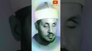 مقطع نادر جداً لصوت الجنة #محمد_عمران