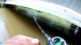 Mancing ikan hampala dan gabus saat banjir