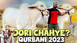 Jori Chahye? | Qurbani 2023