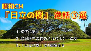 昭和CM「日立の樹」逸話③選