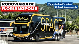 Movimentação de ônibus ESPETACULAR na rodoviária de Florianópolis | fretados e internacionais | #2