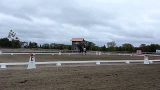 Eventing Training Level Test B