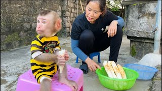 Baby monkey Tina is sitting enjoying fruit and watching her mother work.