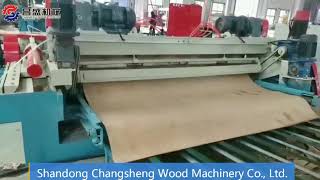 Plywood veneer production line