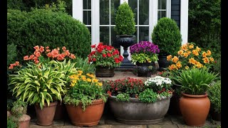 Master the Art of Container Gardening for Stunning Displays