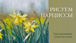 Нарциссы. Урок рисования сухой пастелью для начинающих