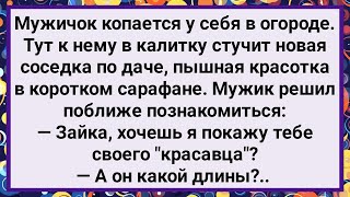 Как Мужик Показал Соседке Своего Красавца! Большой Сборник Свежих Смешных Анекдотов!