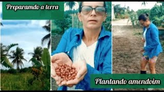 PREPARANDO A TERRA E PLANTANDO AMENDOIM #amendoim  #sitiodozero  #vidanocampo #sitio #naroça