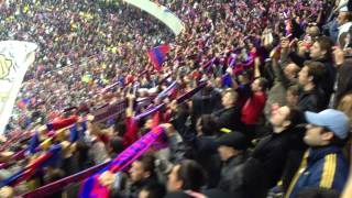 Fan Steaua TV