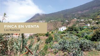 Gran finca en VENTA en Los Realejos | CENTURY 21 Urbecan