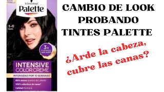 Tintes Palette reseña/Cambio de look #tintepermanente #tintepalette #cabello #reseña #tintes