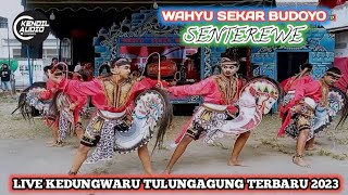 WAHYU SEKAR BUDOYO # JARANAN SENTEREWE PUTRA # LIVE KEDUNGWARU TULUNGAGUNG TERBARU 2023