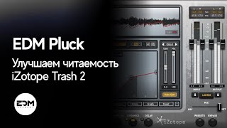 Улучшаем читаемость Pluck плагином iZotopeTrash2