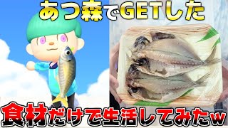 【地獄】24時間あつ森の中でGETした食べ物しか食べれない縛りがマジでヤバすぎたwww【あつまれどうぶつの森】