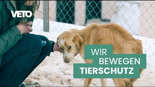 VETO – Wir bewegen Tierschutz