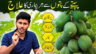 Papaya Leaf (Juice) Benefits For all Disease In Urdu | پپیتے کے پتوں سے ہر بیماری کا علاج