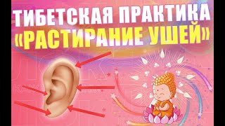 Тибетская практика "Растирание ушей" | ЛФК упражнения