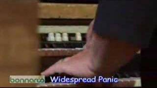 Widespread Panic - Fairies Wear Boots